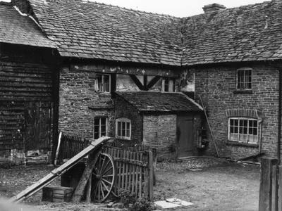 Photographic Print, , small