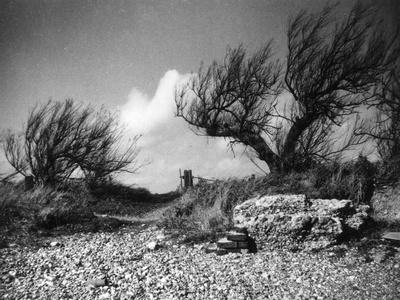 Photographic Print, , small