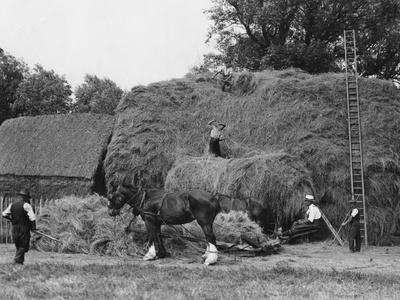 Photographic Print, , small