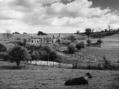 Photographic Print, , small