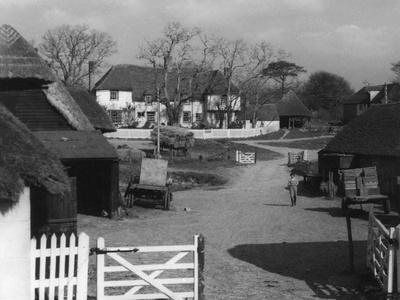 Photographic Print, , small