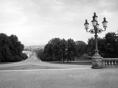 Photographic Print, , small