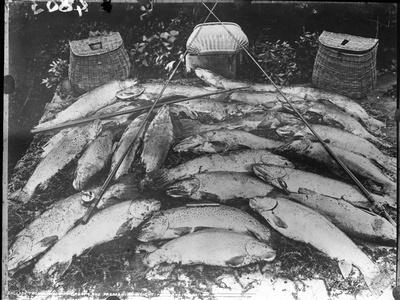 Photographic Print, , small