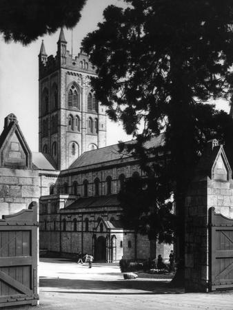 Photographic Print, , small