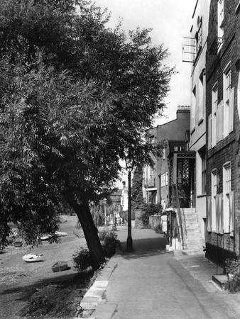 Photographic Print, , small