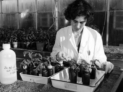 Photographic Print, , small