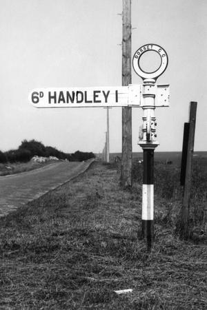 Photographic Print, , small