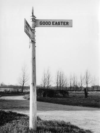 Photographic Print, , small