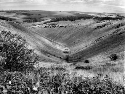 Photographic Print, , small