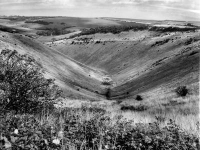 Photographic Print, , small