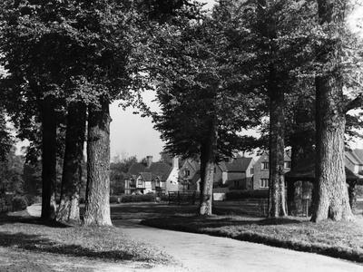 Photographic Print, , small