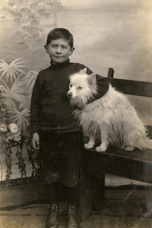 Photographic Print, , small