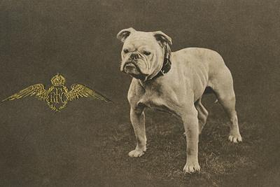 Photographic Print, , small