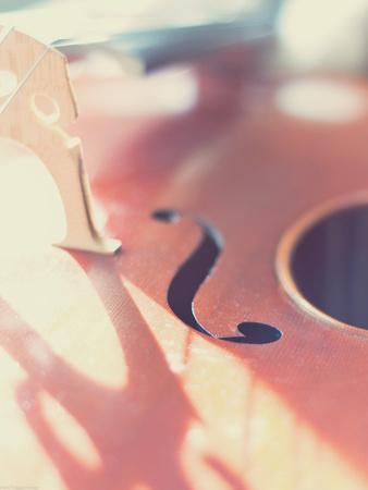 Photographic Print, , small