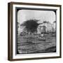 Bahia, Brazil, Late 19th or Early 20th Century-null-Framed Photographic Print