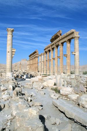 Photographic Print, , small