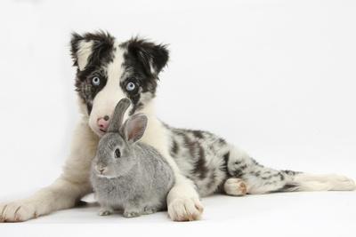 Photographic Print, , small