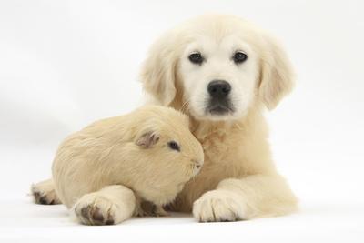 Photographic Print, , small