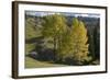 View from Plateau, Durmitor Np, Montenegro, October 2008-Radisics-Framed Photographic Print