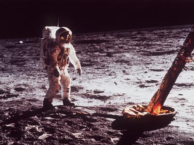 Photographic Print, , small