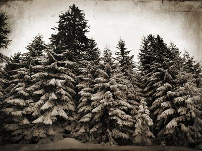 Photographic Print, , small