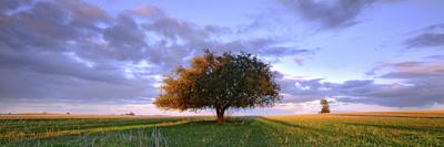 Photographic Print, , small