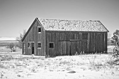 Photographic Print, , small