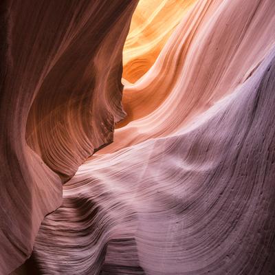 Photographic Print, , small