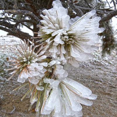 Photographic Print, , small