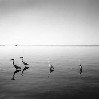 Photographic Print, , small