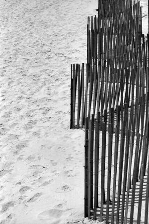 Photographic Print, , small