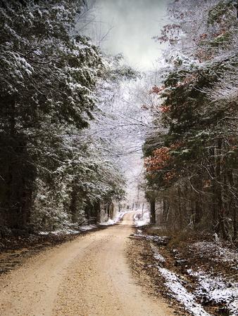 Photographic Print, , small