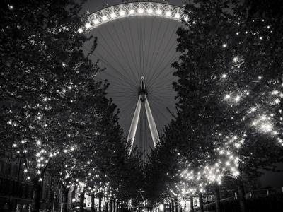 Photographic Print, , small
