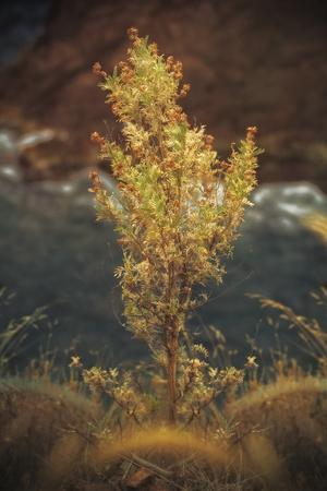 Photographic Print, , small