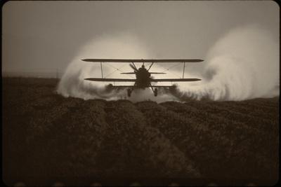 Photographic Print, , small