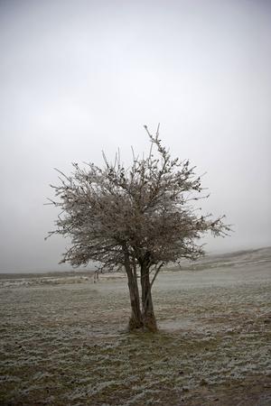Photographic Print, , small