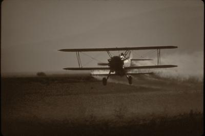 Photographic Print, , small