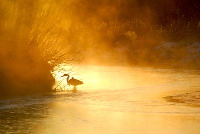 Photographic Print, , small