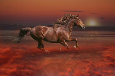 Photographic Print, , small