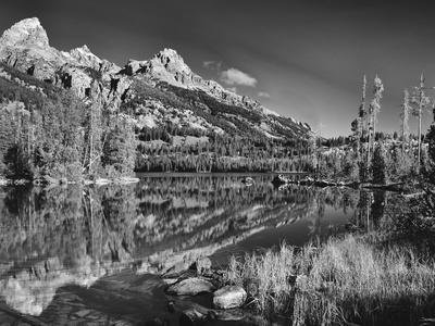Photographic Print, , small