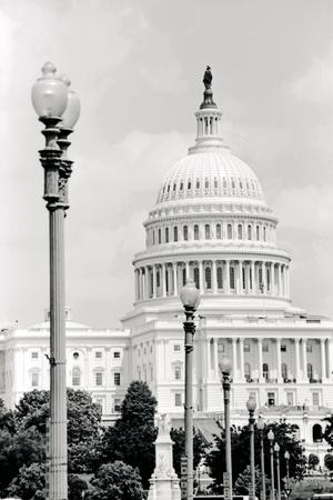 Photographic Print, , small