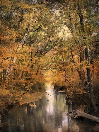 Photographic Print, , small