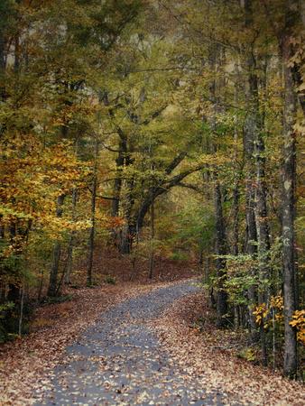 Photographic Print, , small