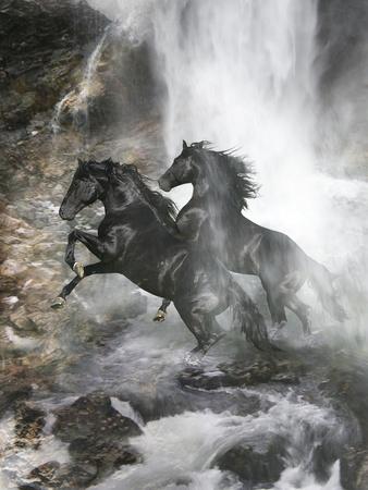 Photographic Print, , small