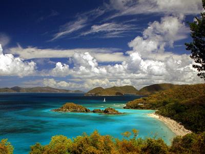 Photographic Print, , small