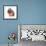 Rabbits 015-Andrea Mascitti-Framed Photographic Print displayed on a wall