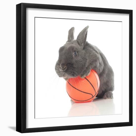 Rabbits 015-Andrea Mascitti-Framed Photographic Print