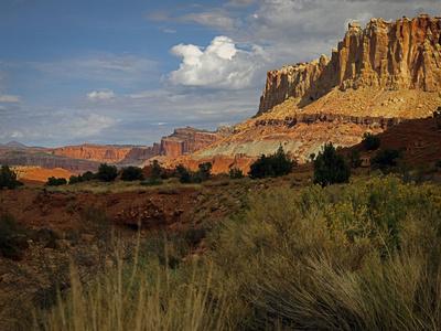 Photographic Print, , small