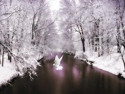 Photographic Print, , small