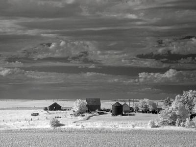 Photographic Print, , small